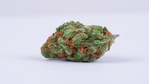 Close up of rotating medical marijuana bud on white background shot in 4k super slow motion