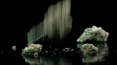 Close up of medical marijuana buds falling down on black background shot in 4k super slow motion