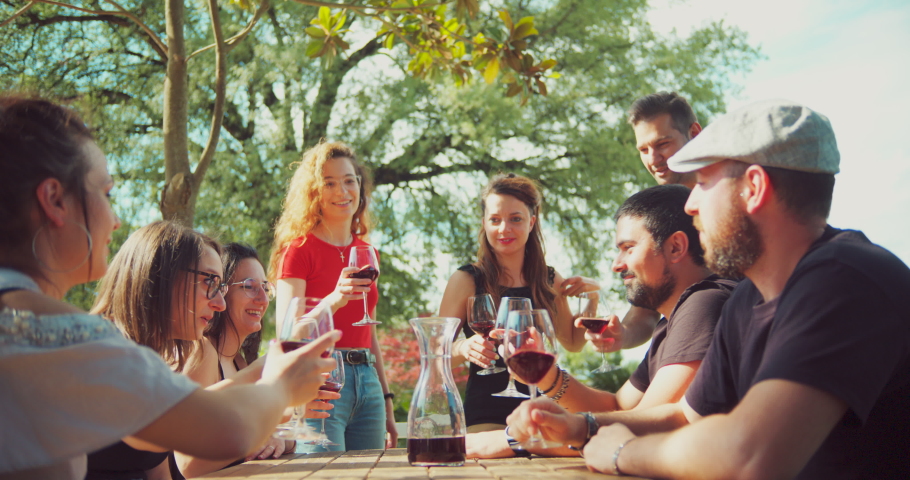 Group of friends toasting with red wine in the vineyard. shot in slow motion
 Royalty-Free Stock Footage #1057140023