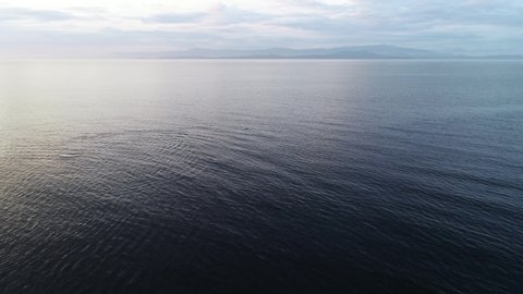 Aerial View of Orca Whale in Calm Ocean Water. Whale Watching, Vancouver Island, Canada