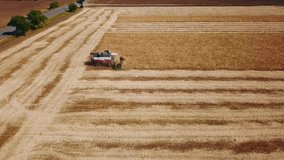 Aerial drone view: combine harvesters working in soybean field on sunset. Harvesting machine driver cutting crop in farmland. Organic soy farming. Agriculture, harvesting season. Quadcopter video.