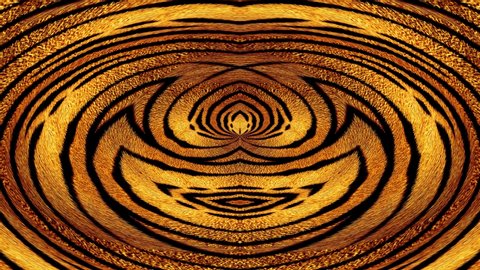 Abstract background tribal animation based on tiger stripes pattern. Beautiful pattern based on the Nature.