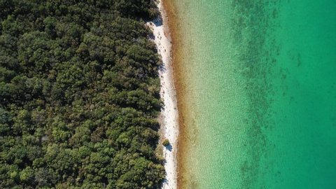 Aerial view of Adriatic coastline in Croatia, Dugi otok island. Pine woods, long hidden secret beaches and emerald sea surface, touristic paradise, drone overhead footage