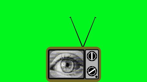 Eye with computer binary code on a retro TV screen on a green background for composition, cut out, green screen. Computer, mass surveillance, intrusive technology, facial recognition, data security
