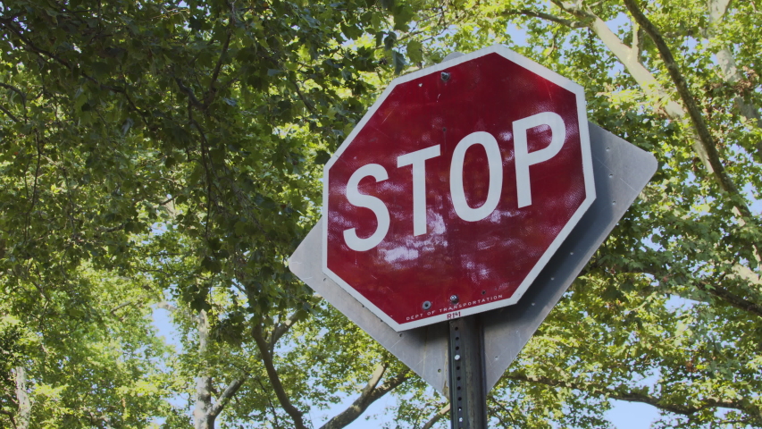 Low Angle of Stop Sign Surrounded by Green Leafy Trees During The Daytime in Brooklyn, New York Royalty-Free Stock Footage #1057178353