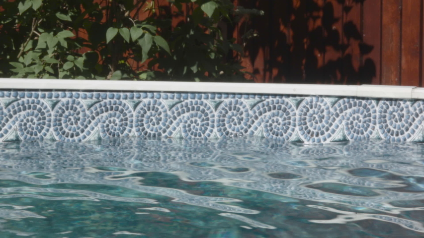Swimming Pool Above Ground Stock Video Footage 4k And Hd Video Clips Swimming Pool Above Ground Stock Video Footage 4k And Hd Video Clips