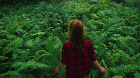 Traveler woman walking through the forest. A girl in a red shirt walking behind walks among the fern leaves. Enjoying nature and a happy life, adventures. Sequence. Rear view, slow motion, 4K
