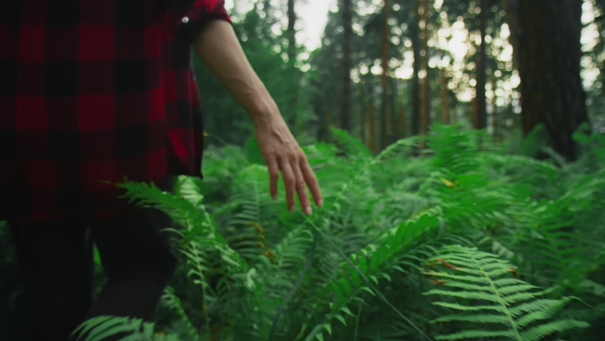 Close-up: an Delicate female hand gently touches the leaves of a fern, making its way through the thicket. A girl in the tall grass studies the forest. Side view, follow. Slow motion, 4K Royalty-Free Stock Footage #1057188103