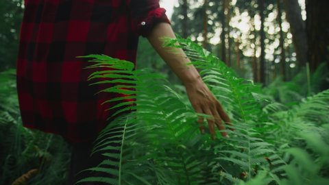Close-up: an Delicate female hand gently touches the leaves of a fern, making its way through the thicket. A girl in the tall grass studies the forest. Side view, follow. Slow motion, 4K