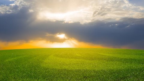 green rural field at the sunset, countryside agricultural time lapse landscape