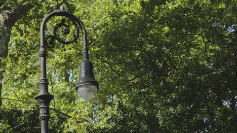 Lamppost Surrounded by Green Leafy Trees During The Daytime in Brooklyn, New York