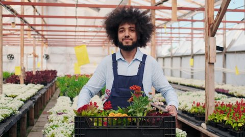 Portrait of Happy Smiling Handsome Middle-aged Seller Man in Supermarket or GreenHouse. Positive Employee Looking at camera, Satisfied with Good job Successful People. Smiling Face.
