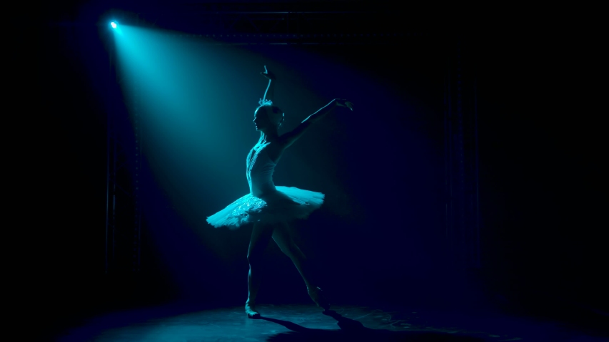 Silhouette of a graceful ballerina in a chic image of a white swan. Classical ballet choreography. Shot in a dark studio with smoke and neon lighting. Slow motion. | Shutterstock HD Video #1057227538