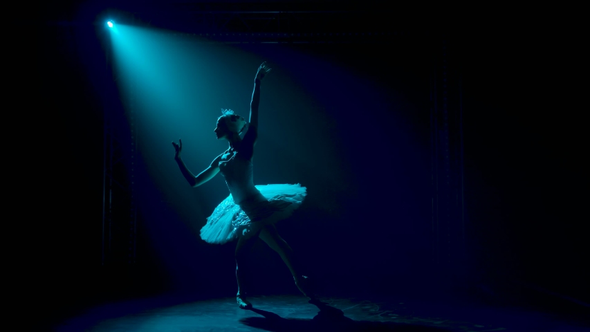Silhouette of a graceful ballerina in a chic image of a white swan. Classical ballet choreography. Shot in a dark studio with smoke and neon lighting. Slow motion. | Shutterstock HD Video #1057227538