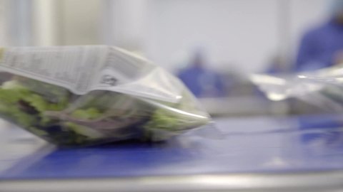 Bags of mass produced salad in food factory on automated machinery