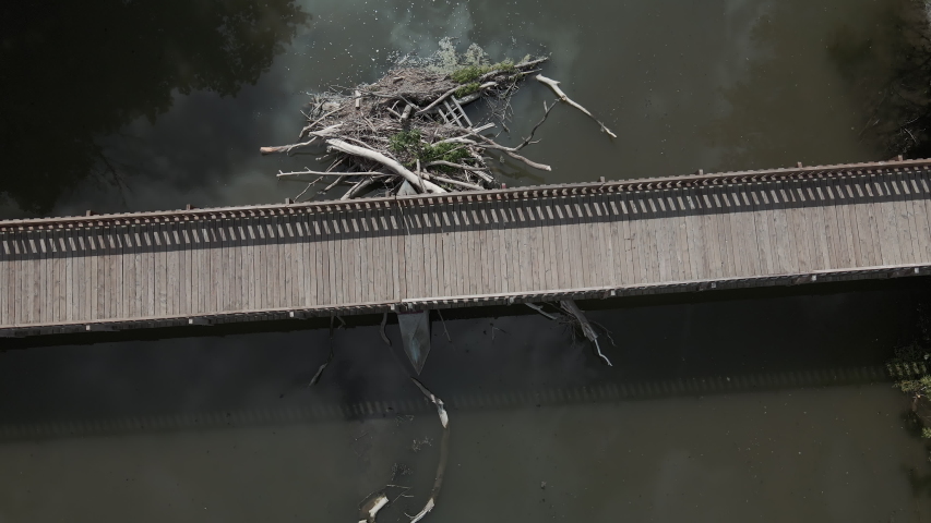 A Man Crossing The Wooden Bridge With His Bicycle Under The Sunny Weather In St. Eustache, Quebec, Canada. -aerial shot