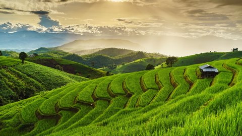 Time lapse of green rice field in sunset and raining in mountain background at Pa Bong Piang Terraces Chiang Mai, Thailand