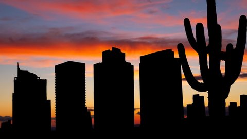 Phoenix skyline with Saguaro Cactus and Skyscrapers, Time Lapse at Dusk, Arizona, USA