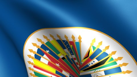 Oea Flag Stock Video Footage 4k And Hd Video Clips Shutterstock