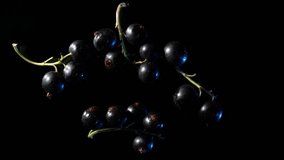 4k macro footage of crushing and squeezing lots of blueberries on black background. Perfect abstract backdrop for organic food and healthy nutrition. Closeup of berries