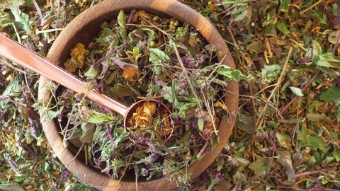 healthy healing herbs and wild flowers for tea, herbal medicine, phytotherapy medicinal herbs, good for preparation of tea, infusions, decoctions, powders, ointments and tinctures