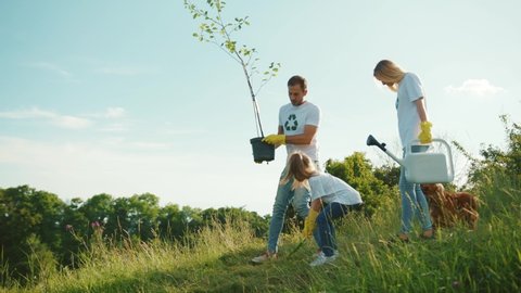 Happy family with wears white clothes dog plant tree care green group, garden man environment agriculture environmental planet ecology teamwork gardening slow motion