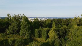 Flight up to the sky through the green trees in summer by drone where a wonderful view of the old city Lviv and you can see the buildings, stadium, construction in Ukraine