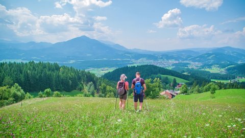 Tilt upwards to back of couple walking downhill over beautiful wildflower meadow. Scenic green mountainous landscape in background. Slow motion, low angle.