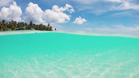 Slow motion split view half underwater crystal azure calm sea surface with white sand at the bottom and palm trees on the shore of idyllic wild tropical beach. Vacation and rest in paradise.