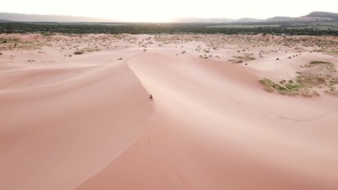 Aerial View of People Hiking on Sandy Hill in Coran Pink Sand Dunes State Park, Utah USA