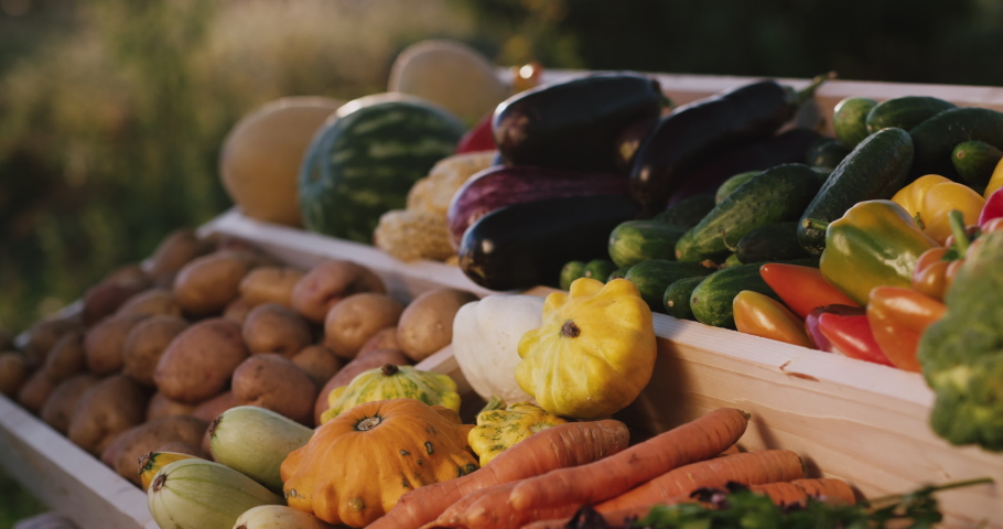 Vegetable counter at farmers market. Slider shot with lens flare fron sun