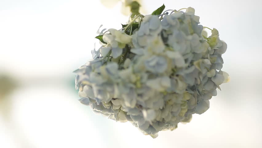 Wedding set up on the beach in shinny day and beautiful flower. outside wedding ceremony, celebration. wedding aisle decor. Royalty-Free Stock Footage #10573229