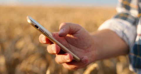 Close up shot of Caucasian man hand typing and tapping on smartphone while standing in field outdoors. Male fingers texting on cellphone in countryside on sunny day. Technology concept