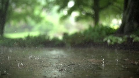 Slow rain drops for meditation 