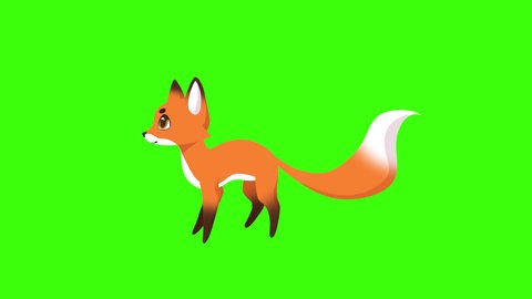 2d animation of cute red fox walking on green chroma key background