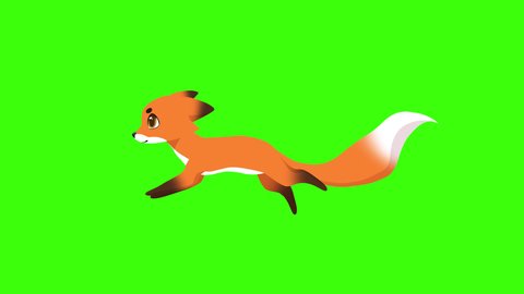 2d animation of cute red fox running on green chroma key background
