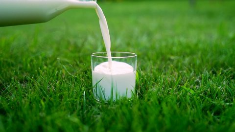 Fresh milk poured into a glass standing on the lawn in the middle of the grass. Slow motion. Natural product. Milk pouring on a background of green nature. The concept of healthy eating. Countryside