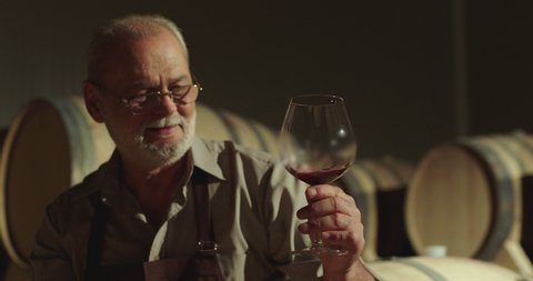 Portrait of a senior well-dressed winemaker checking the wine . Positive sommelier mixing red wine in glass evaluating color at tasting . Winemaking concept . Shot on ARRI ALEXA Camera Slow Motion .