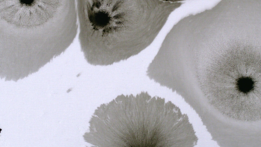 A fifth ink drop sprouts from the bottom left corner with four omnipresent ones from the Hisan collection - Ink VFX Video Element.