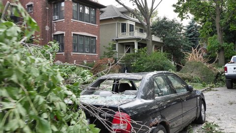Chicago, IL / USA - Aug 11 2020: POV walking gimbal shot of an ash tree that fell on a parked truck and car on Chicago's far north side. The tree was uprooted by a tornado Aug 10