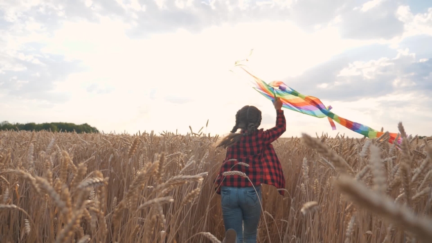 Girl runs with a kite. The child launches a toy kite in a wheat field. A girl runs across a wheat field at sunset. The child is holding a kite in his hands. Toy in the hands of a girl at sunset Royalty-Free Stock Footage #1057408102