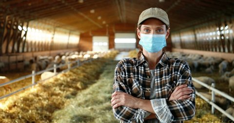 Portrait of Caucasian happy woman in medical mask standing in stable with sheep and looking at camera. Beautiful female farmer at sheep farm. Barn with cattles during coronavirus pandemic.
