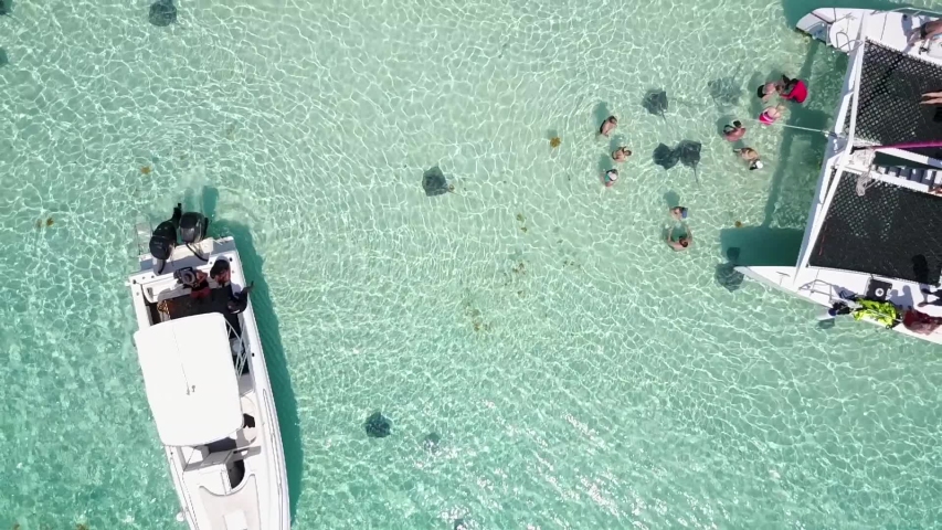Aerial shot of stingrays swimming at Stingray City Sandbar, Grand Cayman | Cayman Islands Royalty-Free Stock Footage #1057416055
