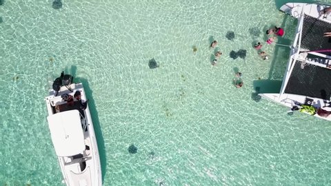 Aerial shot of stingrays swimming at Stingray City Sandbar, Grand Cayman | Cayman Islands