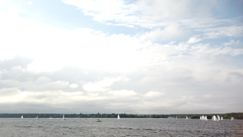 Lots of sailing boats in the reservoir