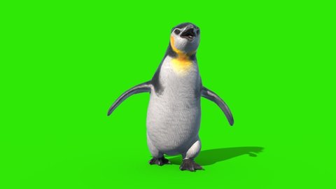 Penguin Fast Walkcycle Green Screen Loop Front 3D Rendering Animation 4K
