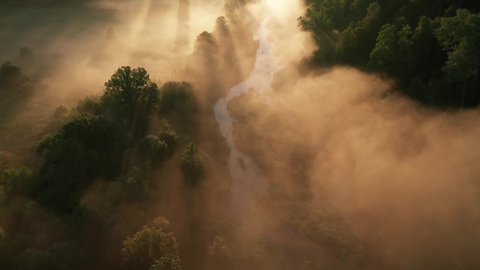 Foggy river at sunrise, aerial view