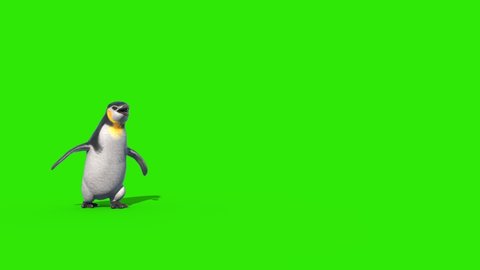 Penguin Fast Walks Green Screen Front 3D Rendering Animation 4K