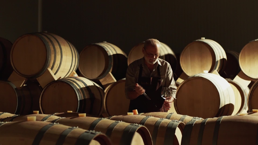 Winemaker checking on wine by sampling pipette . Man testing wine in a factory or warehouse . Portrait of a senior well-dressed winemaker checking the wine . Shot on ARRI ALEXA Camera Slow Motion . Royalty-Free Stock Footage #1057441600