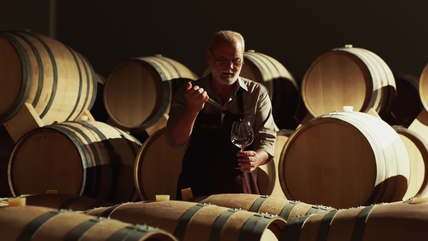 Winemaker checking on wine by sampling pipette . Man testing wine in a factory or warehouse . Portrait of a senior well-dressed winemaker checking the wine . Shot on ARRI ALEXA Camera Slow Motion .